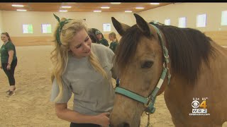 Strongwater Farm gets a sweet surprise with WBZs Ice Cream Social [upl. by Dodwell]