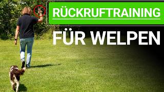 🐕🐶 Rückruftraining für Hunde ➡️ Rückruftraining Welpe ➡️ Erklärvideo 🐕🐶✔️ [upl. by Aimar]