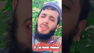 pashtosongshorts pashto nazam 🔥youtube foryou 1M views [upl. by Oirobil833]