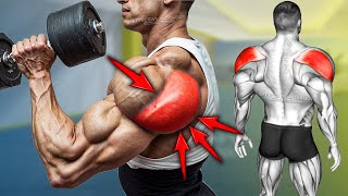 5 Best Rear Delt Exercise BOULDER SHOULDERS [upl. by Billy687]