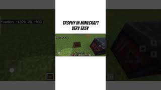 Trophy in Minecraft shortsfeed shorts viral minecraft [upl. by Trovillion30]