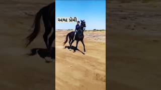 ‍‍‌‌‍ jamnagar dhichda horse race [upl. by Coward]