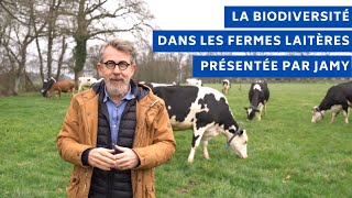 La biodiversité au cœur de la filière laitière [upl. by Imotas362]