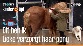 Lieke verzorgt haar pony Kwispel Kindertijd KRONCRV [upl. by Hareehat]