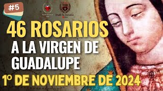 Día 5 de los 46 Rosarios a la Virgen de Guadalupe 1º de Noviembre de 2024 MISTERIOS DOLOROSOS [upl. by Aslin]