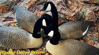 Higdon FullSize Goose Floaters Review Decoy Review Should You Buy [upl. by Annaerdna654]