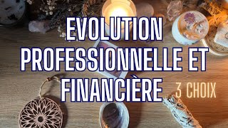 💰PROFESSIONNEL ET FINANCIER 👛 3 CHOIX ✨ INTEMPOREL [upl. by Lledo]