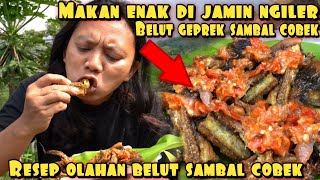 BELUT GEPREK SAMBAL COBEK BIKIN SELERA NAPSU MAKAN BERTAMBAH [upl. by Nauqed]