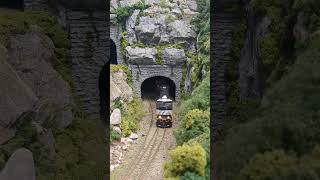 My DCC Model train coming out of a tunnel [upl. by Cavit]