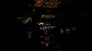 AMAZING A320 Night Landing from Cockpit [upl. by Asennav449]