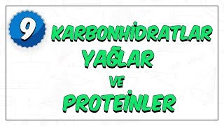 9 Sınıf Biyoloji  Enerji Veren Organik Bileşikler  Karbonhidratlar Yağlar Proteinler [upl. by Pfeifer275]