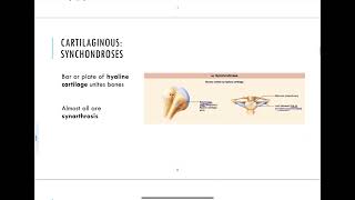 83  Cartilaginous Joints [upl. by Markman]