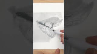 CRETACOLOR  CLEOS  Fine Art Graphite Pencils  Speed Drawing [upl. by Ahsilaf]