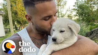 Tiny Puppy Leads Rescuer To Her Siblings  The Dodo [upl. by Pinkerton]