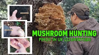 MUSHROOM HUNTING  PINOY IN UK COUNTRYSIDE  BEEFSTEAK MUSHROOM [upl. by Anwahsak737]