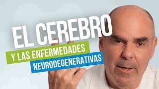 ENFERMEDADES NEURODEGENERATIVAS Sus Causas y Soluciones [upl. by Courtney]