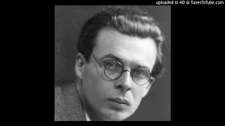 Aldous Huxley  Uomo Piccolo contro Uomo Grosso [upl. by Yadroc447]