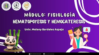 7 HEMATOPOYESIS Y HEMOCATERESIS SOCEMURP Melany Bardales [upl. by Dominus656]