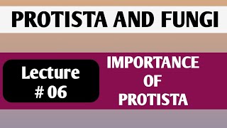 ECONOMIC IMPORTANCE OF PROTISTA  PROTOZOA  ALGAE [upl. by Pernas]