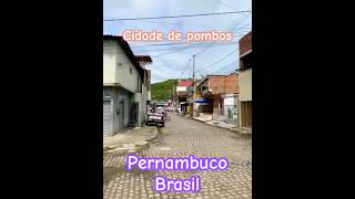 Cidade de pombos pombos pernambuco travel viaggio reise travel santamuertedevotee [upl. by Nade]