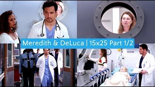 meredith  deluca  goodbye [upl. by Kepner]