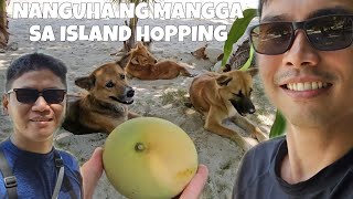 TaraLest Manguha ng Mangga sa Island Hopping sa Port Barton Palawan May 22 2024 [upl. by Lucretia]