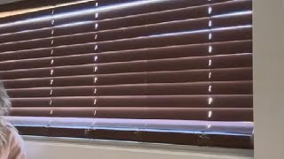 DEZ FURNISHINGS Cordless 2 Faux Wood Blind Review [upl. by Rohpotsirhc]