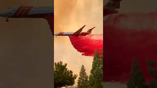 Why Fire Retardant is Dangerous shorts [upl. by Ahtennek153]