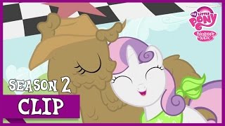 The Race Sisterhooves Social  MLP FiM HD [upl. by Karwan]