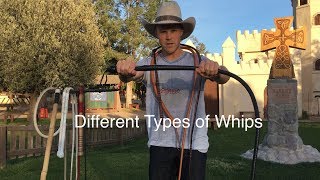 Types of Whips a Comparison [upl. by Haidej]