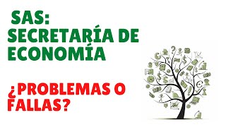 ¿Cómo hacer reportes de FALLAS o PROBLEMAS al CONSTITUIR una SAS ante la Secretaría de Economía [upl. by Htiel]