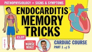 Endocarditis Pathophysiology signs and symptoms for nursing students NCLEX review [upl. by Puto]