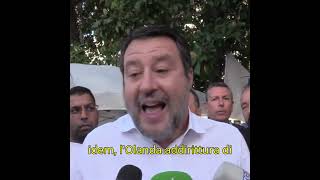 SALVINI TOGLIERE LA CITTADINANZA A CHI COMMETTE REATI [upl. by Eladnor]