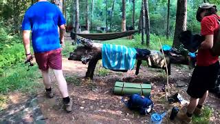 Chattooga River trail Burrells Ford Caampground to Lick Log Falls [upl. by Halludba]