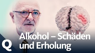 Wie gut kann sich der Körper vom Alkohol erholen  Quarks [upl. by Hairacaz]