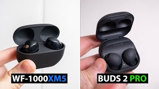 🥊 Sony WF1000XM5 vs Samsung Galaxy Buds 2 Pro 🎧 COMPARATIVA en ESPAÑOL ¿Cuál comprar [upl. by Coumas]