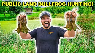 BULLFROG Hunting on PUBLIC LAND Challenge Catch Clean Cook [upl. by Valery643]