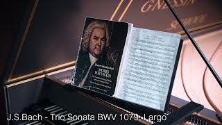 JSBach  Trio Sonata BWV 1079 Musical Offering Largo Gnessin Baroque [upl. by Tryck513]