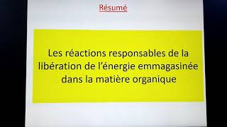 Réactions responsables de la libération de lénergie emmagasinée dans la matière organique résumé [upl. by Hooper]