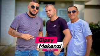 GIPSY MEKENZI  Mani Mani Na zelanie Cover [upl. by Naji904]