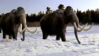 Ice Age Opening style Walking With Beasts [upl. by Idnar155]