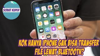 5 Alasan iPhone Gak Bisa Transfer File Menggunakan Bluetooth [upl. by Cyrill]