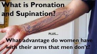 What is Pronation and Supination of the Forearm [upl. by Rhonda147]