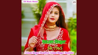 Aslam Singer SR 7765 [upl. by Tallie84]