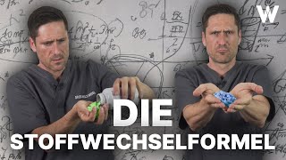 Die ERFOLGREICHE Stoffwechselformel Die besten Strategien für eine effektive Fettverbrennung [upl. by Ihana]