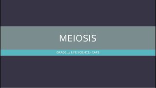 Grade 12 Life Science Meiosis [upl. by Mikkanen]