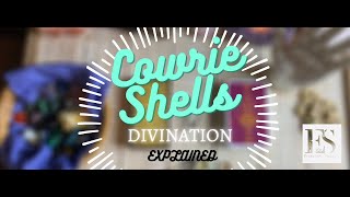 🔮🐚 Cowrie Shells  Divination Explained 🐚🔮✨ [upl. by Ruder408]