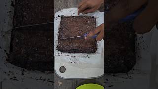 😋🤗ஓரு Brownies செய்யலாமா😍🥰🫰 ytshorts brunei browniesrecipe brownies browniescoklat hobbies [upl. by Maisie967]