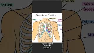 Focos auscultatorios en cardiología shorts [upl. by Eihctir]