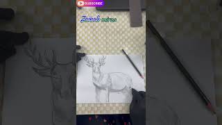 How to draw swamp deer with pencil  barasingha sketch  sketch tutorial [upl. by Suhcnip]